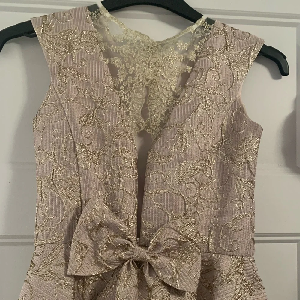 David Charles Dress - Picture 3 of 6